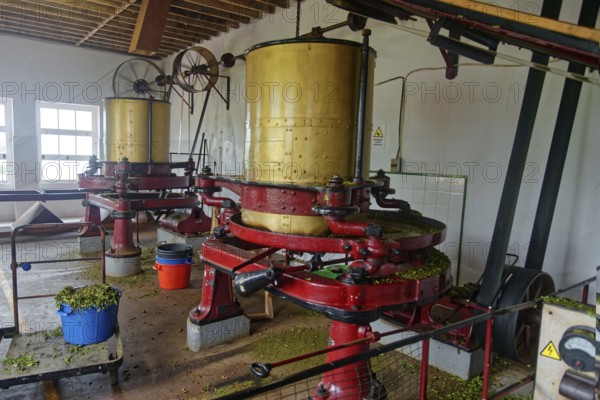 Several yellow-red machines for tea processing in a production room, tea cultivation and production Cha Gorreana near Sao Bras, Sao Miguel, Azores, Portugal, Europe