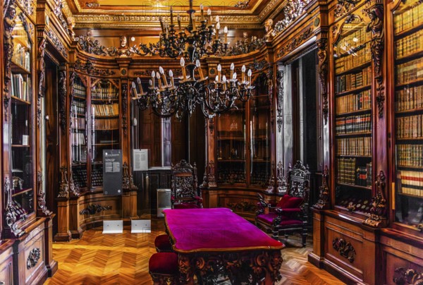 Library, Palazzo Rvoltella, palace and modern art gallery, a total work of art, Trieste, harbour city on the Adriatic, Friuli, Italy, Trieste, Friuli, Italy, Europe
