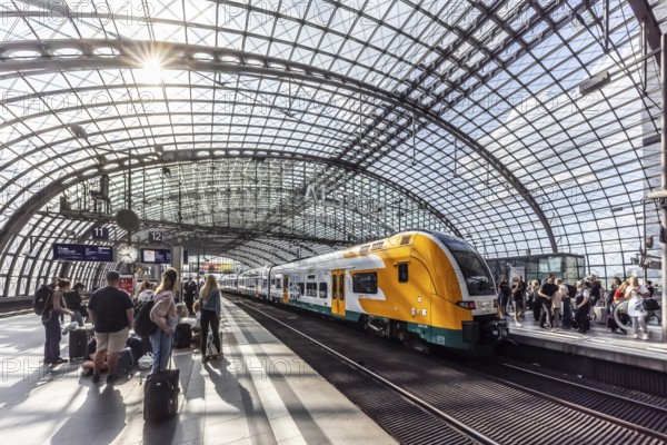 Central station with platform hall with glass roof construction, ODEG regional train, Berlin, Germany, Europe