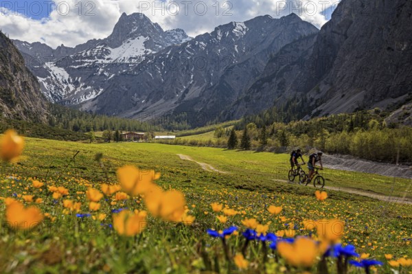 Mountain biker on mountain pasture in front of mountain landscape, flower meadow, backlight, Falzthurntal, Karwendel Mountains, Tyrol, Austria, Europe