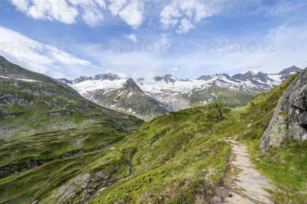Hiking trail in picturesque mountain landscape, mountain peaks with snow and glacier Hornkees and Waxeggkees, summit Hornspitzen and Großer Möseler, Berliner Höhenweg, Zillertal Alps, Tyrol, Austria, Europe