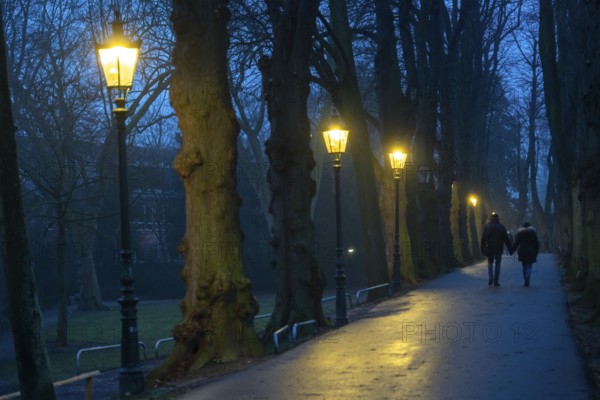 The Burgallee in Düsseldorf-Kaiserswerth, tree-lined avenue, at the old imperial palace, on the Rhine, in winter, lantern lighting, Düsseldorf, North Rhine-Westphalia, Germany, Europe