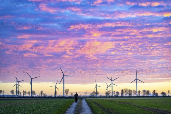 Wind farm near Holzweiler, town of Erkelenz, wind turbines, man walking his dog, North Rhine-Westphalia, Germany, Europe