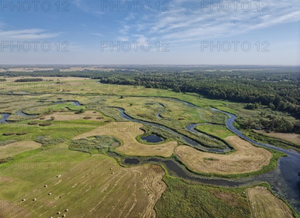 Aerial view of the meandering Biebrza River in the Biebrza National Park in northern Poland. Goniadz, Podlaskie, Poland, Europe