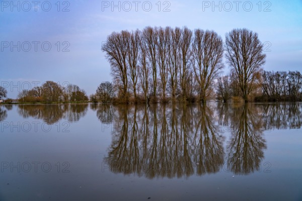 Bislicher Insel nature reserve, floodplain landscape on the Rhine, near Xanten, floods, flooded fields, meadows, North Rhine-Westphalia, Germany, Europe