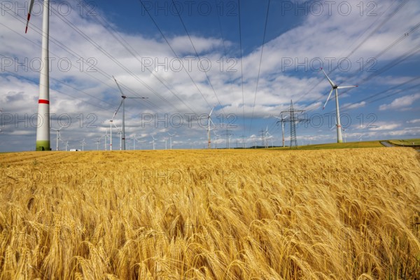 Wind farm east of Bad Wünnenberg, East Westphalia-Lippe, high-voltage power lines, grain field, North Rhine-Westphalia, Germany, Europe