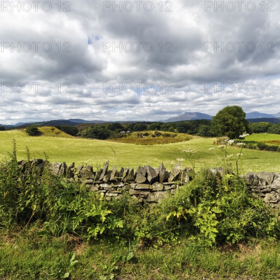 View over typical stone wall to hilly landscape near Betws-y-Coed in Merionethshire, North Wales, Wales, United Kingdom, Europe