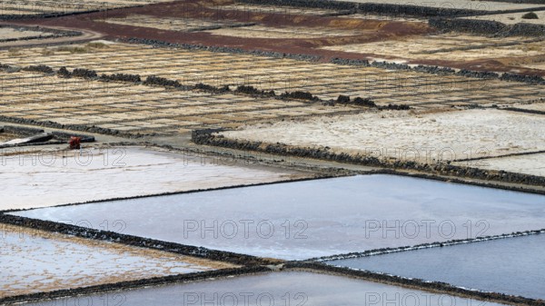 Sea salt extraction, Janubio salt works, Salinas de Janubio, Lanzarote, Canary Islands, Spain, Europe