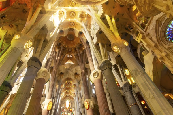 Sunlight streams through stained glass windows, illuminating the colorful, tree like columns and intricate ceiling of antoni gaudi's sagrada familia basilica