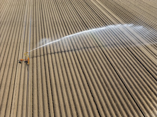 Artificial irrigation of a potato field in April, with a sprinkler system, long drought in spring makes this necessary, for the total of 7.5 hectares 3 full days are needed to get the necessary moisture for the freshly sown potato plants, south of Straelen, Lower Rhine, North Rhine-Westphalia, Germany, Europe