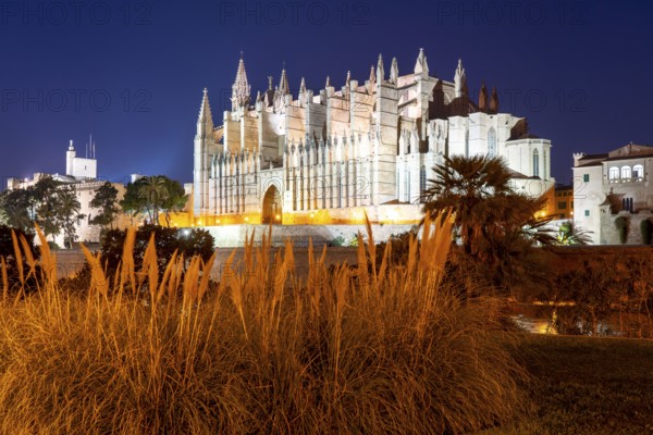 Palma de Majorca, Bay of Palma, the Cathedral of St Mary, Balearic Islands, Spain, Europe