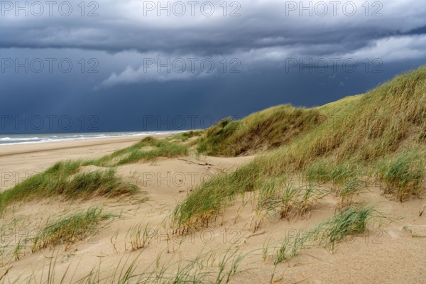 Dune landscape, beach, dark storm clouds, autumn at the North Sea in North Holland, between the towns of Egmond aan Zee and Bergen aan Zee, Netherlands