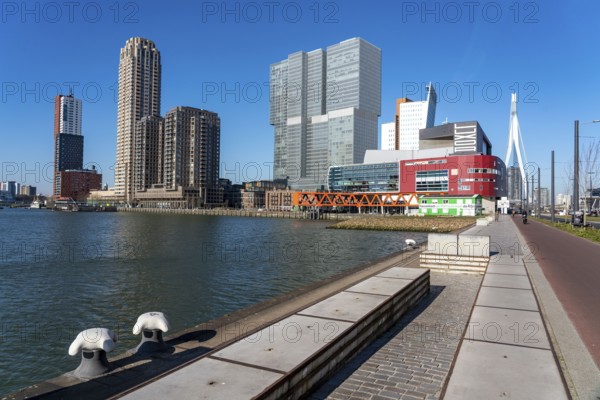 The skyline of Rotterdam, at the Nieuwe Maas, river, skyscrapers at the Kop van Zuid district, Netherlands, Rijnhaven, Erasmus Bridge