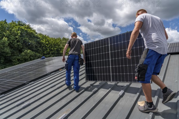 Installation of solar modules on the roof of a barn on a farm, over 210 photovoltaic modules are installed on the roof, North Rhine-Westphalia, Germany, Europe