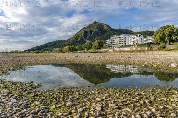 The Rhine at extremely low water, near Bad Honnef Rhöndorf, below the Drachenfels, Nonnenwerth Island, dry banks of the Rhine, North Rhine-Westphalia, Germany, Europe