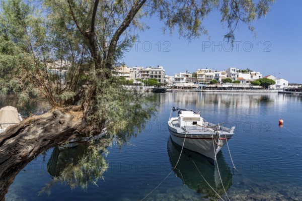 The village of Agios Nikolaos, in the eastern part of Crete, view over Lake Voulismeni, connected to the sea, old town, Greece, Europe