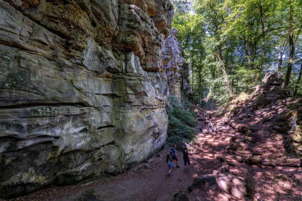 The Devil's Gorge, narrow, accessible gorge of sandstone rocks, with steep rocky gorges, near Irrel, Southern Eifel nature park Park, Rhineland-Palatinate, Germany, Europe