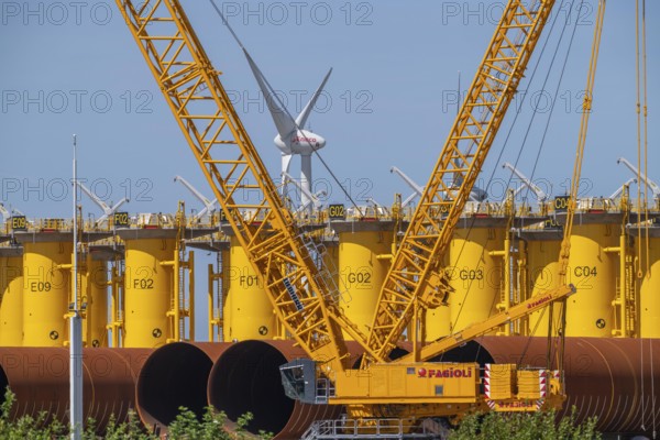 Transhipment centre for offshore wind turbines, which are transported here by the manufacturer and then shipped by special ships to the construction sites of the wind farms in the North Sea, here, yellow, so-called Transition Pieces Jackets, which are mounted on the monopile foundations driven into the seabed, on which the actual wind turbine is then mounted, in the port area of Vlissingen-Oost, Netherlands