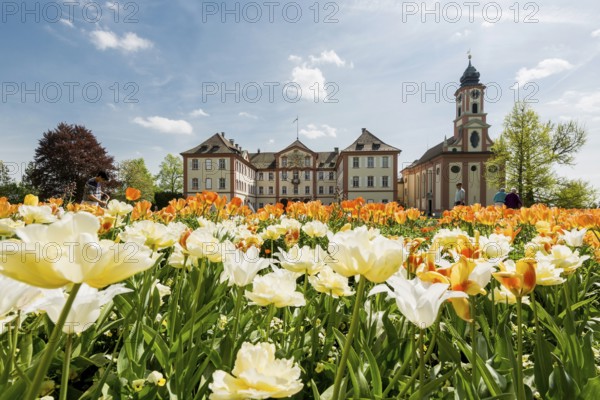 Mainau Castle and St Mary's Castle Church, Mainau Island, Lake Constance, Baden-Württemberg, Germany, Europe