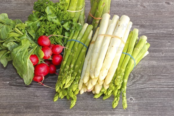 Green asparagus and white asparagus decorated on a rustic wooden table