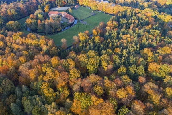 Autumn forest with the Füchtel estate, aerial view, drone, Füchtel, Vechta, Lower Saxony, Germany, Europe
