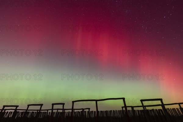 Northern lights (aurora borealis) over the ring sanctuary of Pömmelte, prehistoric circular ditch complex, also known by archaeologists as the German Stonehenge, Pömmelte, Saxony-Anhalt, Germany, Europe