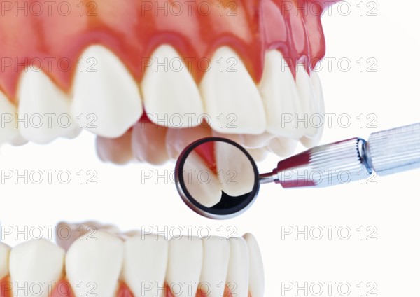 A set of teeth is examined, dental laboratory, dental technician, dentist, studio