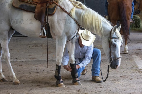 Oklahoma City, Oklahoma, A rodeo participant tends to his horse at the Great Plains Rodeo, an annual gay rodeo that features traditional rodeo competition while emphasizing the camaraderie of the LGBTQ community