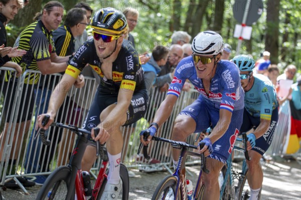 Lidl Deutschland Tour 2024 (cycling), 4th stage and last stage From Annweiler am Trifels to Saarbrücken (182, 7 KM) . Image: Arrival at the Kalmit, the highest mountain in the Palatinate Forest