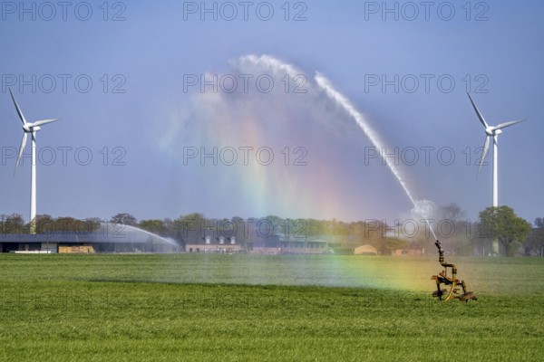 Artificial irrigation of a cereal field in April, with a sprinkler system, long dry spell in spring makes this necessary for the young plants to grow well, Kerken, Lower Rhine, North Rhine-Westphalia, Germany, Europe