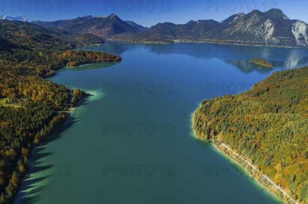 Aerial view of a mountain lake and autumnal coloured trees in the morning light, Walchensee, view of Simetsberg, Heimgarten, Herzogstand, Upper Bavaria, Bavaria, Germany, Europe
