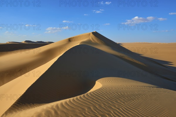 Large sand dune with soft shadows and glowing light accents in a desert landscape, Matruh, Great Sand Sea, Libyan Desert, Sahara, Egypt, North Africa, Africa