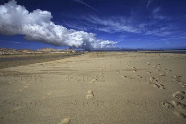 Sandy beach beach Playa Risco del Paso, Playa de Sotavento with footprints, blue sky and clouds, and wide dunes, Pajara, Fuerteventura, Spain, Europe