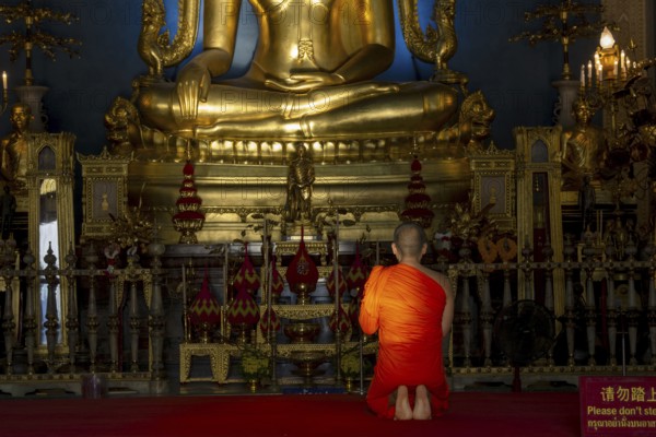 Monk meditating in front of the Phra Buddha Chinnarat, Buddha statue with Bhumispara-mudra, Buddha Gautama at the moment of enlightenment, Wat Benchamabophit, also: marble temple, Dusit district, Bangkok, Thailand, Asia