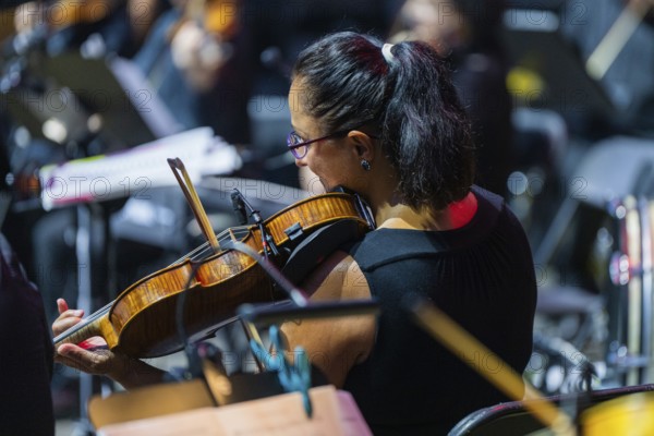 Woman playing the violin in an orchestra on stage, surrounded by music stands and typical concert lighting, Klostersommer, Calw Hirsau, Black Forest, Germany, Europe