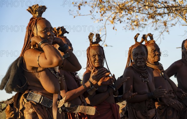 Traditional Himba woman clapping, music and dance, portraits, in the evening light, near Opuwo, Kaokoveld, Kunene, Namibia, Africa
