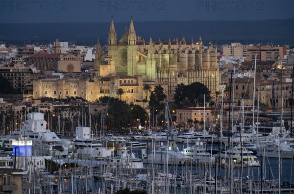Panorama of Palma de Majorca, Bay of Palma, with the marina and the Cathedral of St Mary, Balearic Islands, Spain, Europe