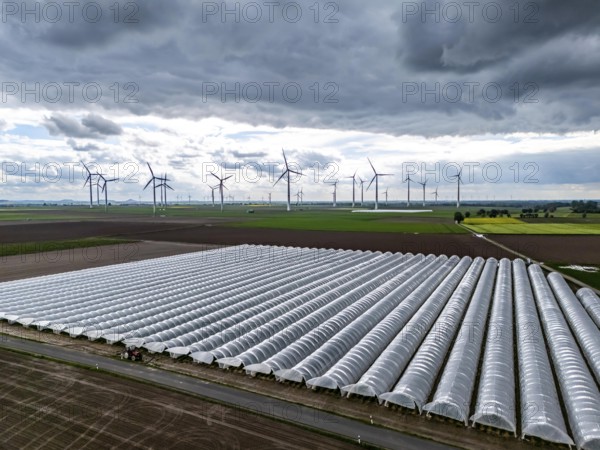 Agriculture, large areas with foil tunnel, for the cultivation of strawberries, freshly cultivated fields, wind farm, south of Lövenich, belongs to Erkelenz, in the district of Heinsberg