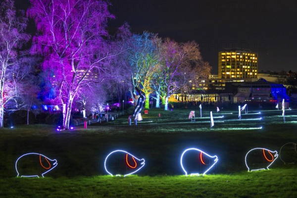 Parkleuchten, event in winter, in the Grugapark in Essen, many different light installations, across the park, attract many thousands of visitors, North Rhine-Westphalia, Germany, Europe