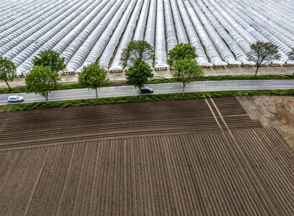 Agriculture, large areas with foil tunnel, for the cultivation of strawberries, freshly cultivated fields, south of Lövenich, belongs to Erkelenz, in the district of Heinsberg