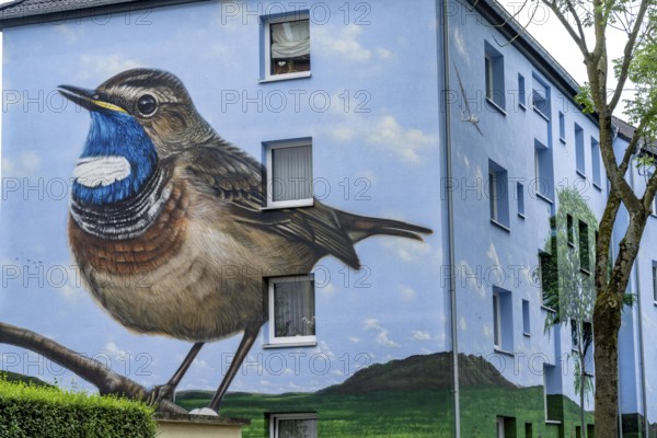 Residential buildings on Feldsieper Straße in Bochum, after an energy-efficient refurbishment, with facade insulation, the Bochumer Wohnstätten Wohnungsgenossenschaft had the buildings painted with a large mural by Dortmund graffiti artist Denis Klatt, it shows a bluethroat and a landscape with trees, life below ground and lots of sky on the entire facade, Bochum-Hamme, North Rhine-Westphalia, Germany, Europe
