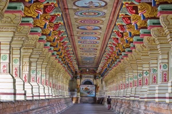 Colourfully painted pillars, temple hall, Ramanathaswami Temple, Rameswaram or Rameshwaram, Pamban Island, Tamil Nadu, India, Asia