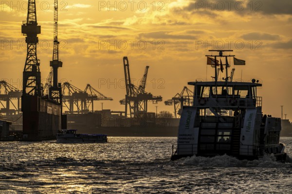Port of Hamburg, view of the Blohm + Voss shipyard, evening, cranes of the container terminals, harbour tour boat, Hamburg Germany