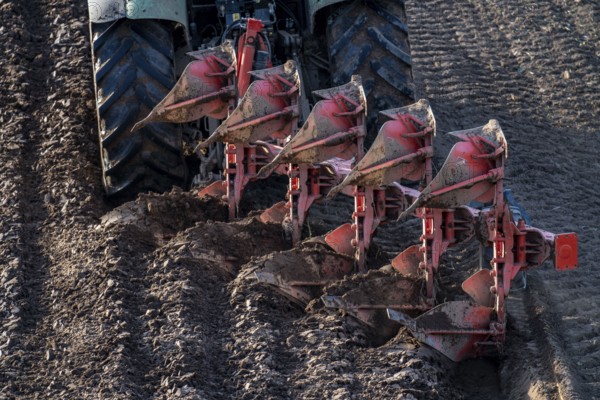Farmer ploughing a field, tractor with plough, near Neuss, North Rhine-Westphalia, Germany, Europe