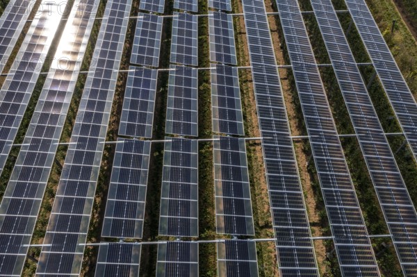 Agri-photovoltaic test plant, an apple orchard with two different systems of PV modules was roofed over 3000 square metres, rain and sunlight comes through, at the same time protection against hail and heavy rain, next to it are the same trees but without a solar roof, as a comparison object, how the PV roof affects the trees and harvest, the field test is accompanied by the Fraunhofer Institute for Solar Energy Systems ISE, in Grafschaft-Gelsdorf, Rhineland-Palatinate, Germany, Europe