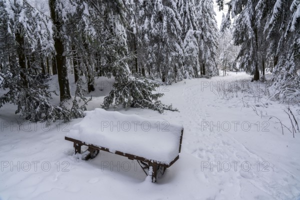 Winter in Sauerland, Hochsauerlandkreis, at Kahler Asten, near Winterberg, few tourists, visitors, during the lockdown in January 2021, North Rhine-Westphalia, Germany, Europe