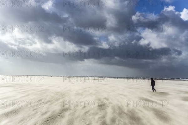 North Sea, Spiekeroog Island, autumn, strong wind drives the sand over the mudflats at low tide, beach walker, west coast of the East Frisian Island, Lower Saxony, Germany, Europe