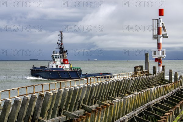 Harbour tug VB Emerald in the Western Scheldt, entering the harbour of Vlissingen, Zeeland, Netherlands