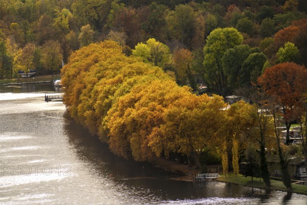 Lake Baldeney, on the south-east shore, Fischlaken district, in autumn, plane tree avenue, lakeside path, Essen, autumn, North Rhine-Westphalia, Germany, Europe