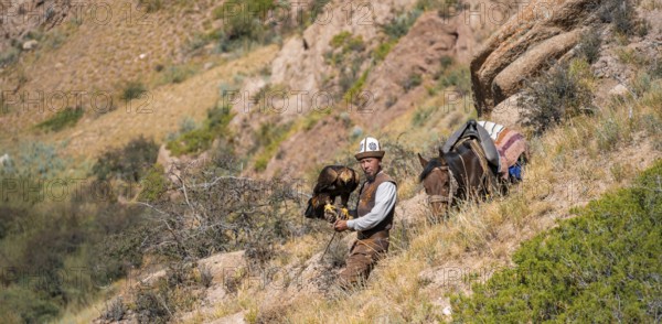 Traditional Kyrgyz eagle hunter with eagle in the mountains, hunting on horseback, near Kysyl-Suu, Kyrgyzstan, Asia